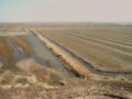 Vue aerienne de digues et de leur environnement de terres basses.jpg