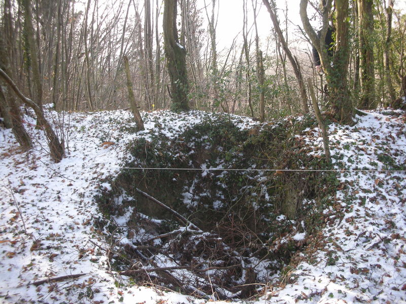 Fichier:2009 ThoirésurDinan72.jpg