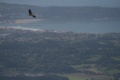 Vignette pour la version du 14 mai 2014 à 16:27